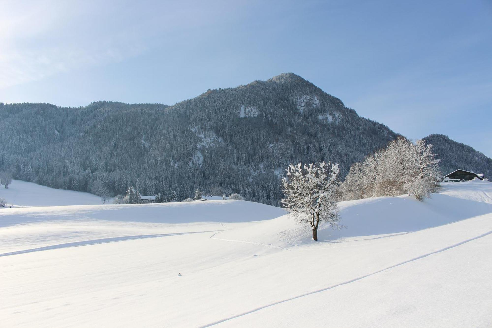 Ferienhaus Weber-Haeusl ไรท์ แอม อัลป์บาคทัล ภายนอก รูปภาพ
